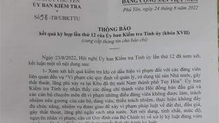 Kỷ luật đảng nhiều cán bộ liên quan vụ bán đấu giá 262 lô đất ở Phú Yên