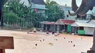 Bộ Ngoại giao thông tin vụ người Việt chạy khỏi casino ở Campuchia