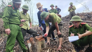 Điều tra vụ cán bộ Khu bảo tồn thiên nhiên Kẻ Gỗ thuê người phá rừng