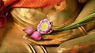 Cuộc chạy trốn của bông hoa hay cánh cửa của đau khổ?