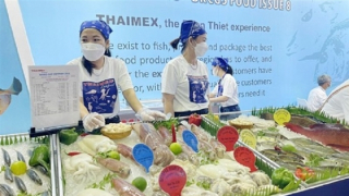 Hội chợ thủy sản lớn nhất Việt Nam thu hút doanh nghiệp đến từ 15 quốc gia
