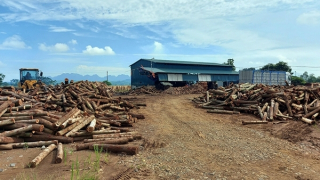 Thuê đất của xã rồi xây dựng công trình trái phép