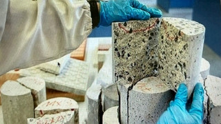 Nhiều tồn tại trong tuyển dụng lao động, quản lý tài sản công