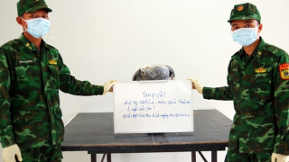 Ném 4,5kg cần sa tháo chạy khi gặp tổ công tác biên phòng