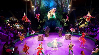 Tổ chức Liên hoan Xiếc quốc tế năm 2022 tại Hà Nội