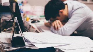 Môi trường phụng sự