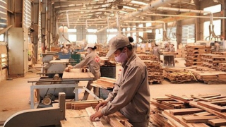 Doanh nghiệp ngành gỗ đối mặt với nhiều sức ép