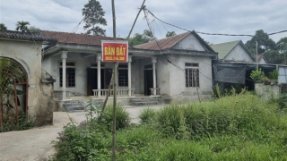 Cụ bà 81 tuổi “tố” bị mất đất sau khi đến lăn tay tại nhà cán bộ tư pháp xã