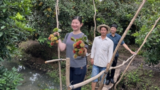 Du lịch sông nước hút khách tham quan