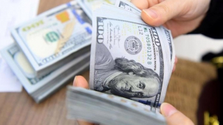 Sự biến động của “đồng bạc xanh”