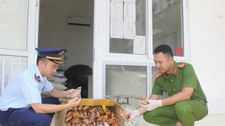 Ém hàng trăm hộp bánh trung thu cùng bì lợn, gà đông lạnh