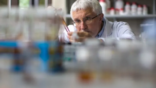 Tìm ra chất hấp thụ độc hại từ không khí