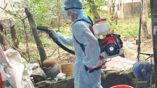 Nhiều người nhầm lẫn sốt xuất huyết với COVID-19