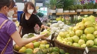 Xuất khẩu sang thị trường Trung Quốc, nhìn từ trái xoài