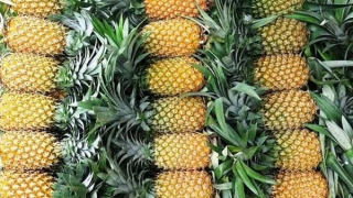 Tăng tiêu thụ nội địa để giảm áp lực xuất khẩu