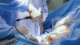 Bi kịch từ khát vọng… chân dài