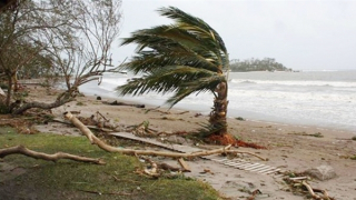 Cảnh báo tình trạng khẩn cấp về khí hậu ở các quốc đảo Thái Bình Dương