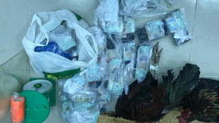 Bắt trường gà di động ven biển, thu giữ hàng trăm triệu đồng