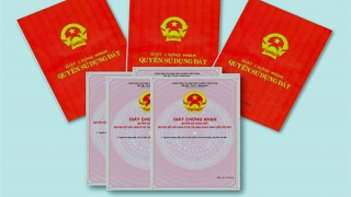 Cảnh giác các đối tượng dùng giấy chứng nhận quyền sử dụng đất giả để lừa đảo
