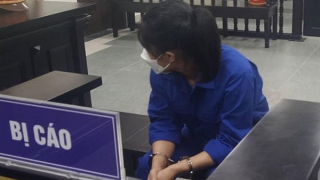 Mạo danh cán bộ Văn phòng Chính phủ để chiếm đoạt hơn 7 tỷ đồng