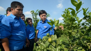 Khuyến khích tinh thần khởi nghiệp của thanh niên nông thôn