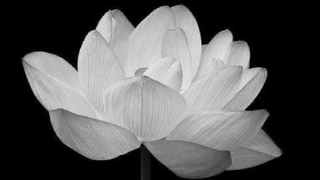 Đại tá Ma Khánh Bào từ trần