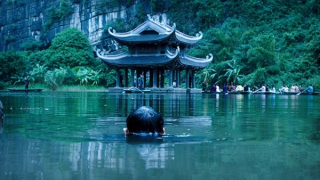 Phim hành động Việt thi thố tại Liên hoan phim Tallinn Black Nights