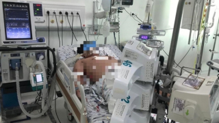 Gia tăng sốt xuất huyết, Bộ Y tế yêu cầu nhập dịch truyền đặc trị