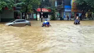 Mưa giông khắp miền Bắc và Bắc Trung Bộ