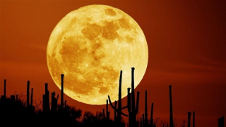 NASA: Trăng Trung thu 2022 tròn nhất trong 100 năm qua