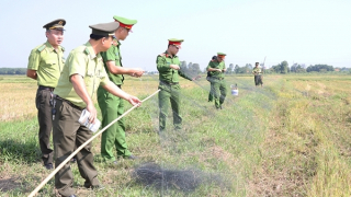 Ngăn chặn nạn tận diệt chim trời