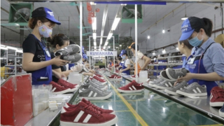 Doanh nghiệp tận dụng tốt các FTA