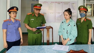 Làm giả con dấu, lập hợp đồng "ma" lừa đảo hơn 50 tỷ đồng