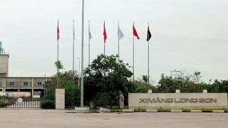 Một công ty khai thác khoáng sản bị phạt 520 triệu đồng