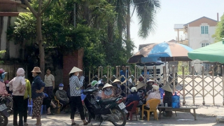 Tạm dừng hoạt động nhà máy giấy để kiểm tra mức độ ô nhiễm