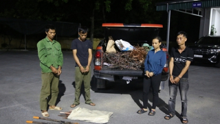 Bắt nhóm trộm cắp 3.000m cáp điện trên cao tốc Vân Đồn – Móng Cái