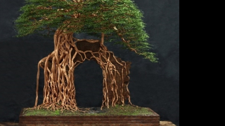 Trao giải cuộc thi và triển lãm Mỹ thuật ứng dụng toàn quốc – 2022