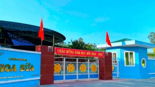 Buộc thôi việc 2 giáo viên mầm non sử dụng bằng giả