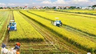 Khoảng trống mênh mông giữa nhà khoa học, chuyên gia với người nông dân