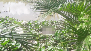 Đi bắt cá, phát hiện thi thể bé sơ sinh dưới sông