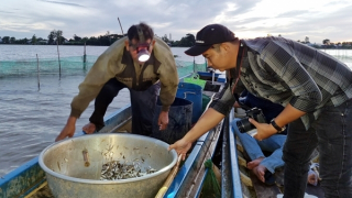 Cùng ngư dân đầu nguồn ra đồng dỡ lú mùa nước nổi