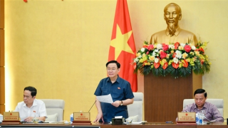 Trình Quốc hội nghị quyết thí điểm đấu giá biển số  ô tô