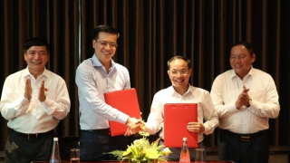 Xem phim tài liệu từng đạt giải cao vào giờ vàng trên truyền hình