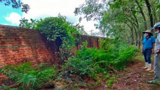 Khẩn trương kiểm tra cơ sở chứa phân gà gây ô nhiễm