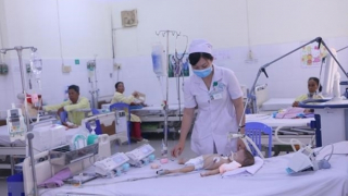 Ca mắc sốt xuất huyết ở Hà Nội tăng gấp 3 lần