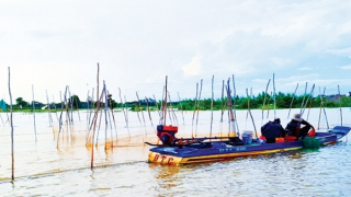 Vui buồn mùa nước nổi ở miền Tây Nam Bộ