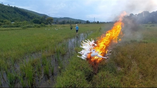 Công an xã đồng loạt ra quân ngăn chặn nạn săn bắt chim trời