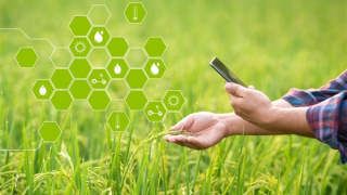 Điện toán đám mây - cơ hội phát triển của nông nghiệp số