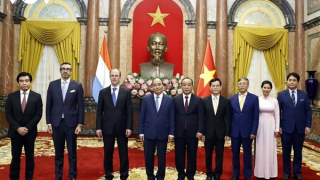 Chủ tịch nước tiếp Đại sứ Hà Lan, Hungary, Australia, Luxembourg trình Quốc thư
