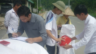 Bí thư Chi bộ, Trưởng thôn "ăn chặn" gần 5 tấn gạo của dân